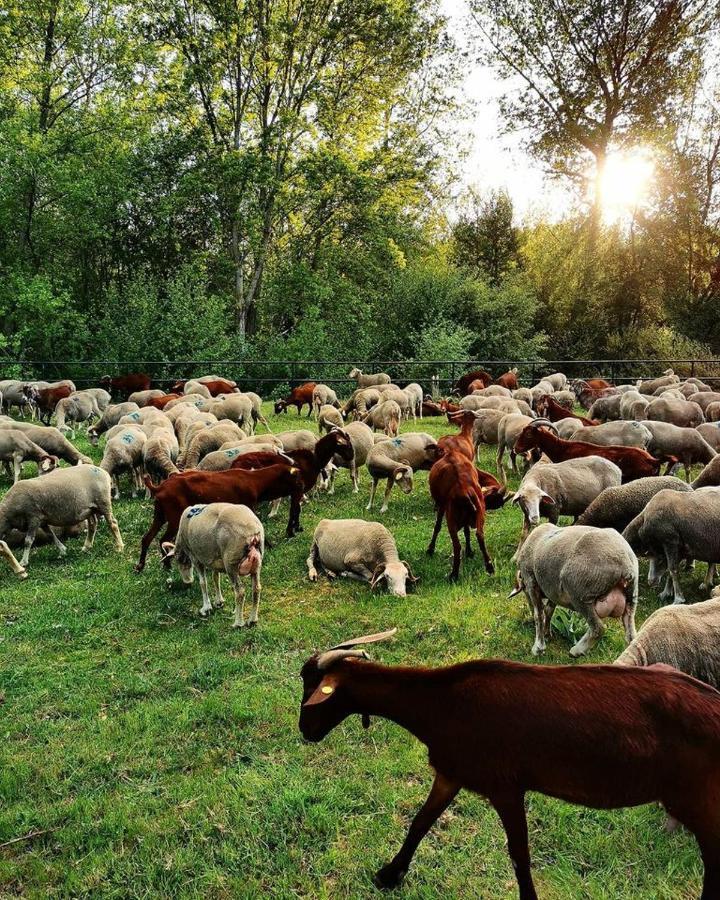 فيلا Alcoba de la Riberaفي Miradoralaribera Chalet Rural المظهر الخارجي الصورة